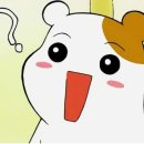 한양대 효태권도장 이미지