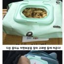 부모곡 이미지