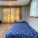 솔&계수나무팬션 이미지