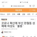 완월동117 이미지