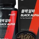 알파사우나 이미지