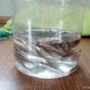 월산낚시터(월산저수지) 이미지