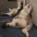 한수원문화가있는날-광화문연가 | [덕질로그] 2025 연뮤콘 총결산 (부제: 나 육성재랑 사진찍음✌🏻)