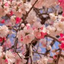 우곡마을입구 이미지