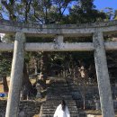 플라워민박 | 『대마도🇯🇵』 13년 지기랑 첫 해외 우정여행 1일차