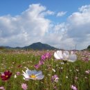 나훈아노래방 이미지