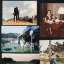 신신농장 이미지