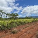 돌속농장 이미지