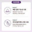 도그홀릭 이미지