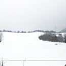 운주목장 이미지