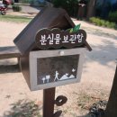해도근린공원 | 포항 해도근린공원 수국명소