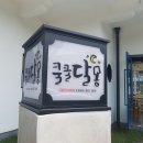 쿨쿨달몽