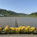 보성로뎀 이미지