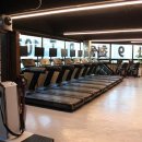 영바디짐 이미지