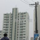 자성마이홈 이미지