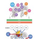 웰케어의원 이미지