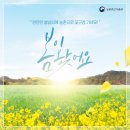 대기철쭉꽃마을 | 완연한 봄날씨에 농촌으로 꽃구경 가세요 | 꽃 개화시기 | 꽃 여행 장소