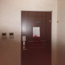 아네시스 이미지