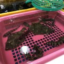 용궁한증막 이미지