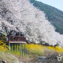 남천1동 행정복지센터 이미지