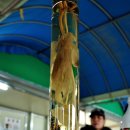 도곡낚시터 이미지