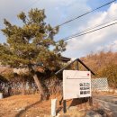 송파나루(놀이마당) 화장실 | 가평 조용하고 가성비 좋은 펜션 추천 임초리부뚜막풀빌라 내돈내산 솔직 후기