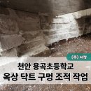천안용곡초등학교 이미지