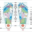 고려수지침 Daum카페