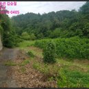 옥동교차로 부근 이미지