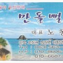 만돌뻘집