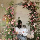 창업+부업~플라워 디자인 이미지