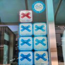 장춘왕족발식당 | 정선 동광식당 황기왕족발 후기 | 레드리본 블루리본 맛집, 콧치기·손만둣국까지 솔직 방문기