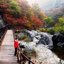 절골약수터 이미지