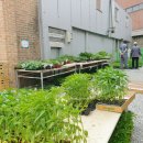 현대농약사 이미지