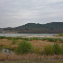 청미천 7 Daum카페