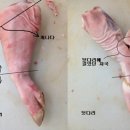 근본족발 이미지