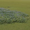 가곡 교실 이미지