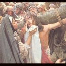 의료법인 수강 의료재단 이미지