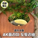 CW-1664-01 | 수원 실내 놀거리 수원역 AK백화점 도토리숲 지브리 소품샵