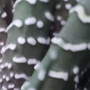 류마본내과의원 이미지