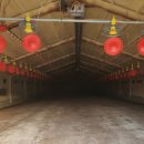 천수부동산공인중개사사무소 이미지