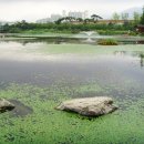 연지공원(김해시 내동 1068) 이미지