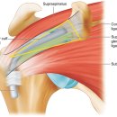 석봉한의원 이미지