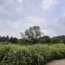 호수공원 10로 네이버블로그