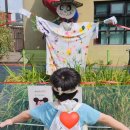 시흥대로40길 이미지