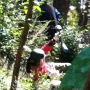 대명 게임장 이미지