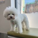 둘레길동물병원 이미지