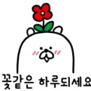 순이 건어물 이미지