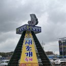 샘골수산 | 홍성 남당항 새조개축제에서 새조개샤브샤브 내돈내먹 후기 (샘골수산)