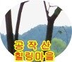 군업1리 마을회관 이미지